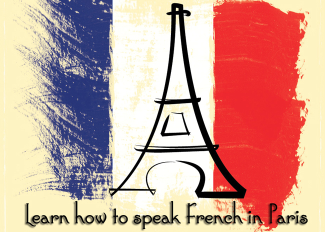 Learn French Fast- The Most Complete & Comprehensive Language Course on USB
