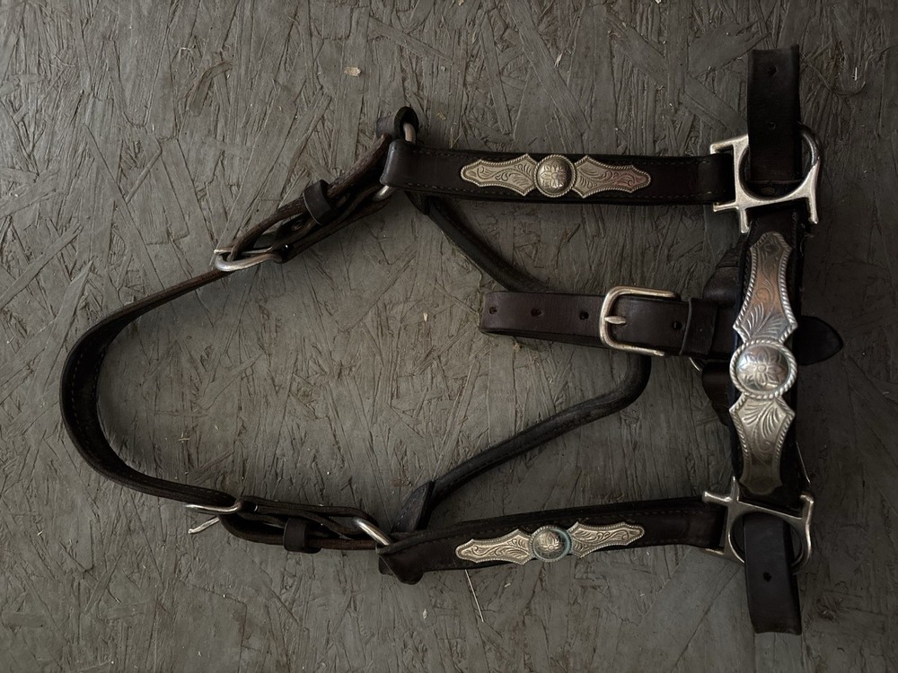 Western Show Halter