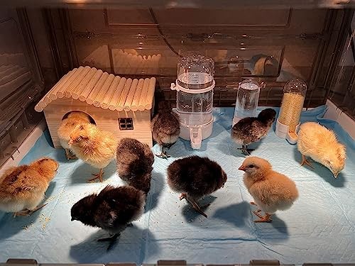 Chick Brooder,Brooder Box for Chicks,Brooder Heater Warms up to 25 23″x17″x14″
