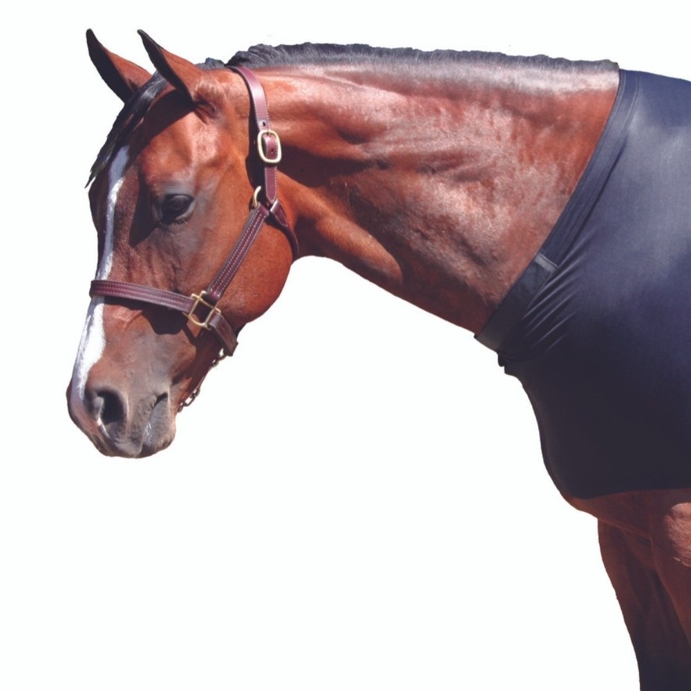 horse shoulder guard