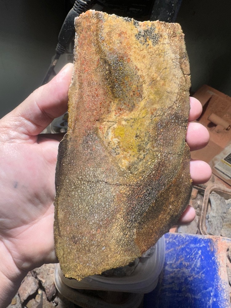Dinosaur bone rough **hxtled slab.