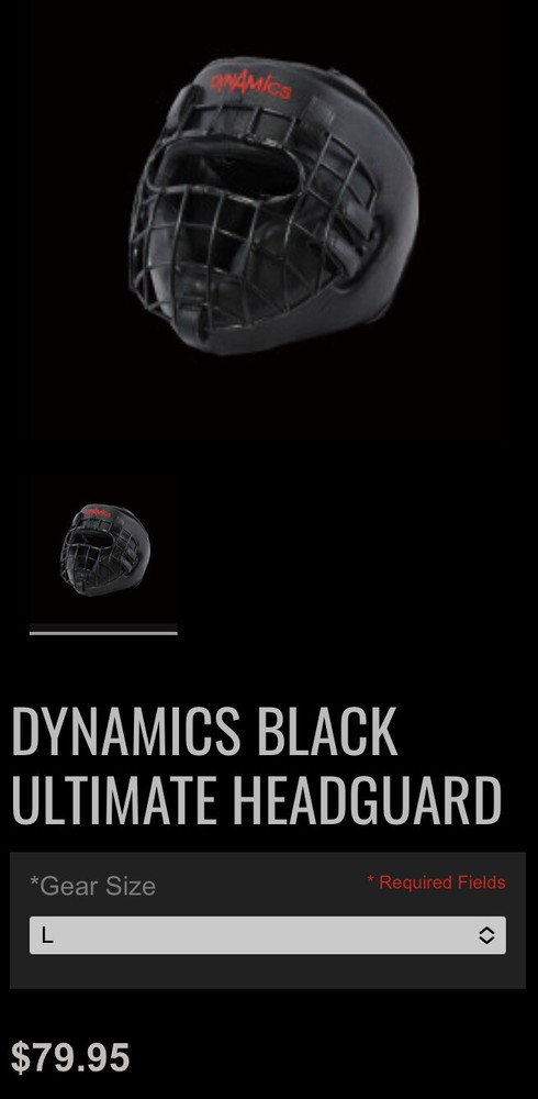 Head Guard Dynamics martial arts