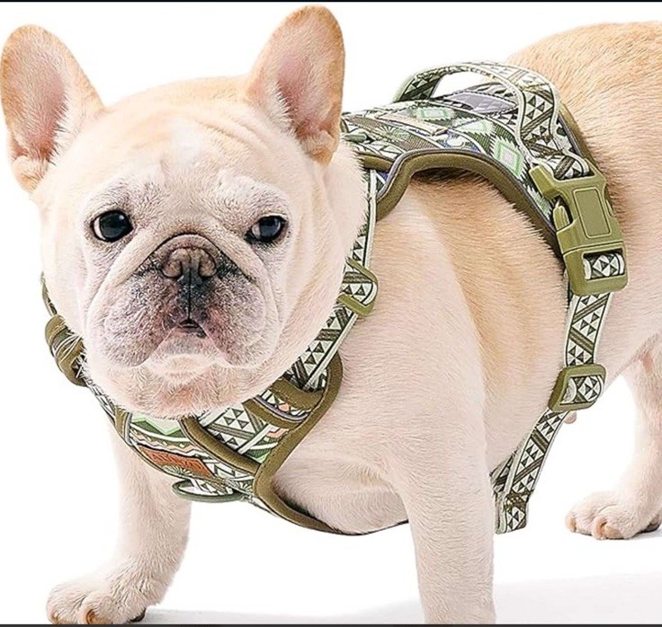 Aunzo Dog Harness Non-Pull Adjustable Vest with Training Patches Olive Medium
