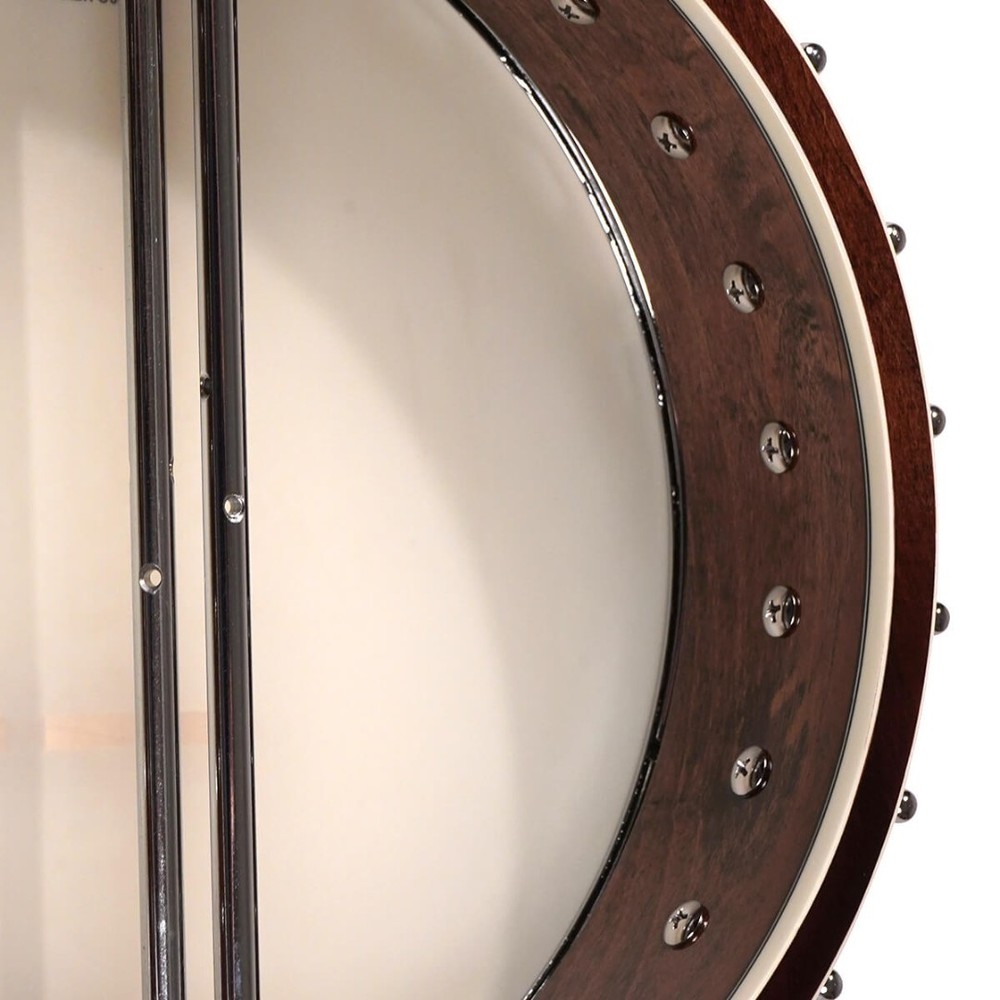 Gold Tone Model IT-250 Irish Tenor 4-String Open Back Banjo with Case