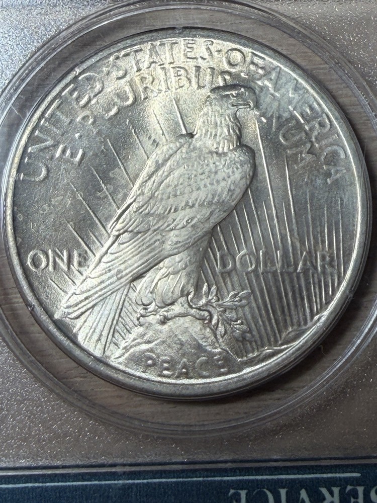 1925 Peace Silver Dollar PCGS Rattler MS65