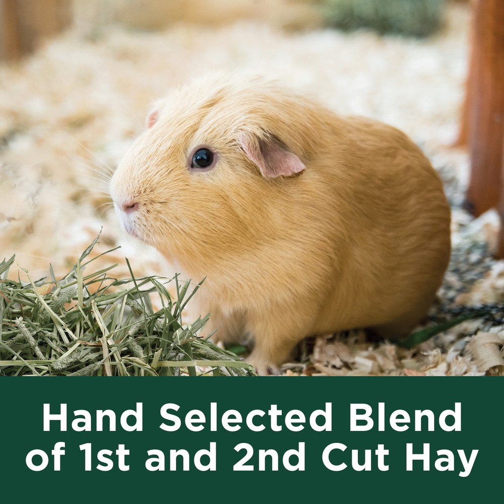 All Natural Timothy Hay , 48 ounce