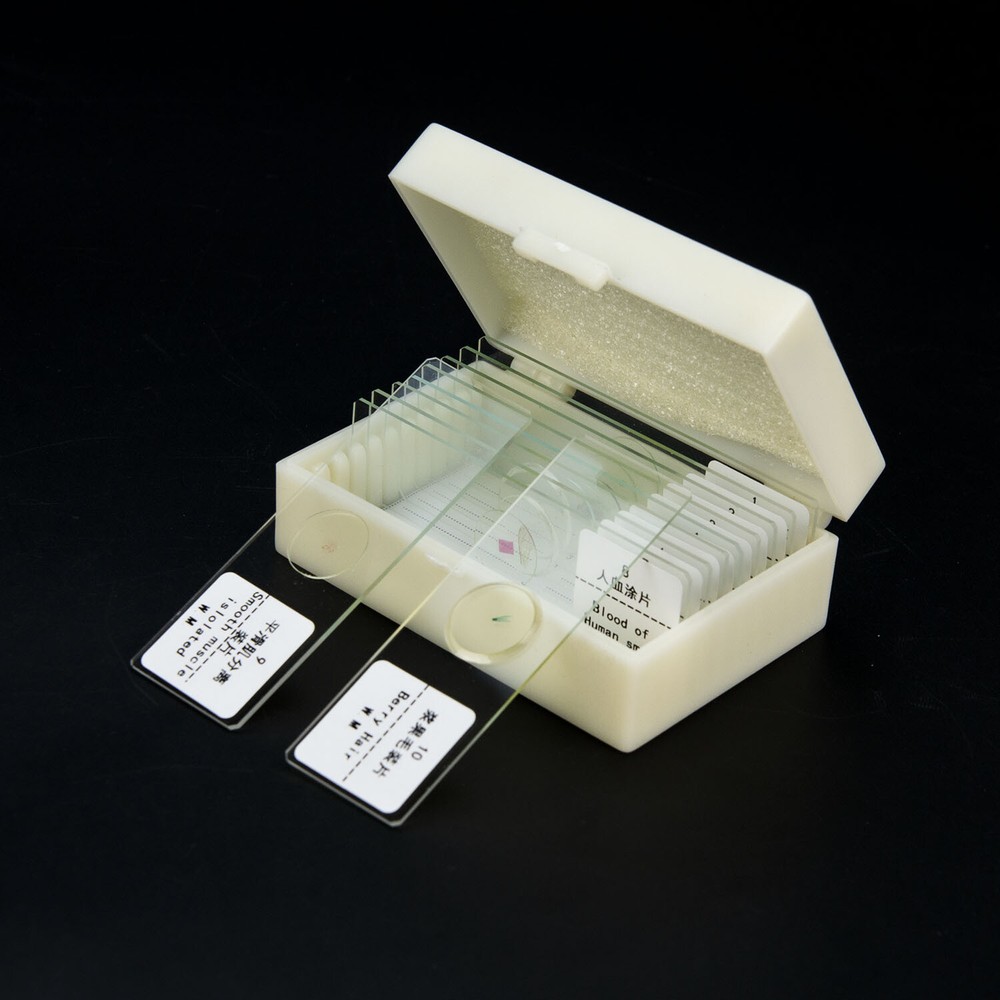 10pcs-200pcs Glass Prepared Microscope Slides Specimen for Lab Biological Usage