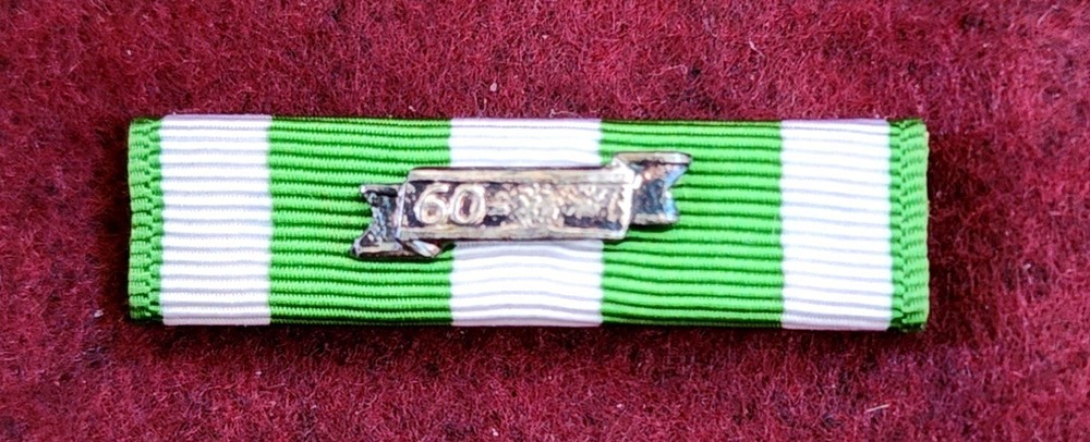 Vietnam Service Medal