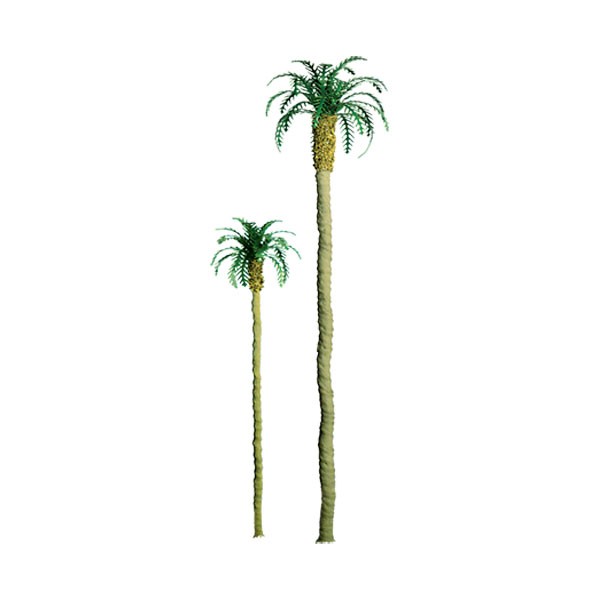 Palm 9' Pro 1pk