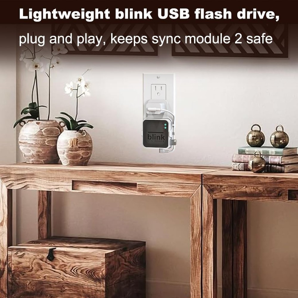 USB Flash Drive256GB and Outlet Wall Mount for Blink Sync Module, with Short Ca