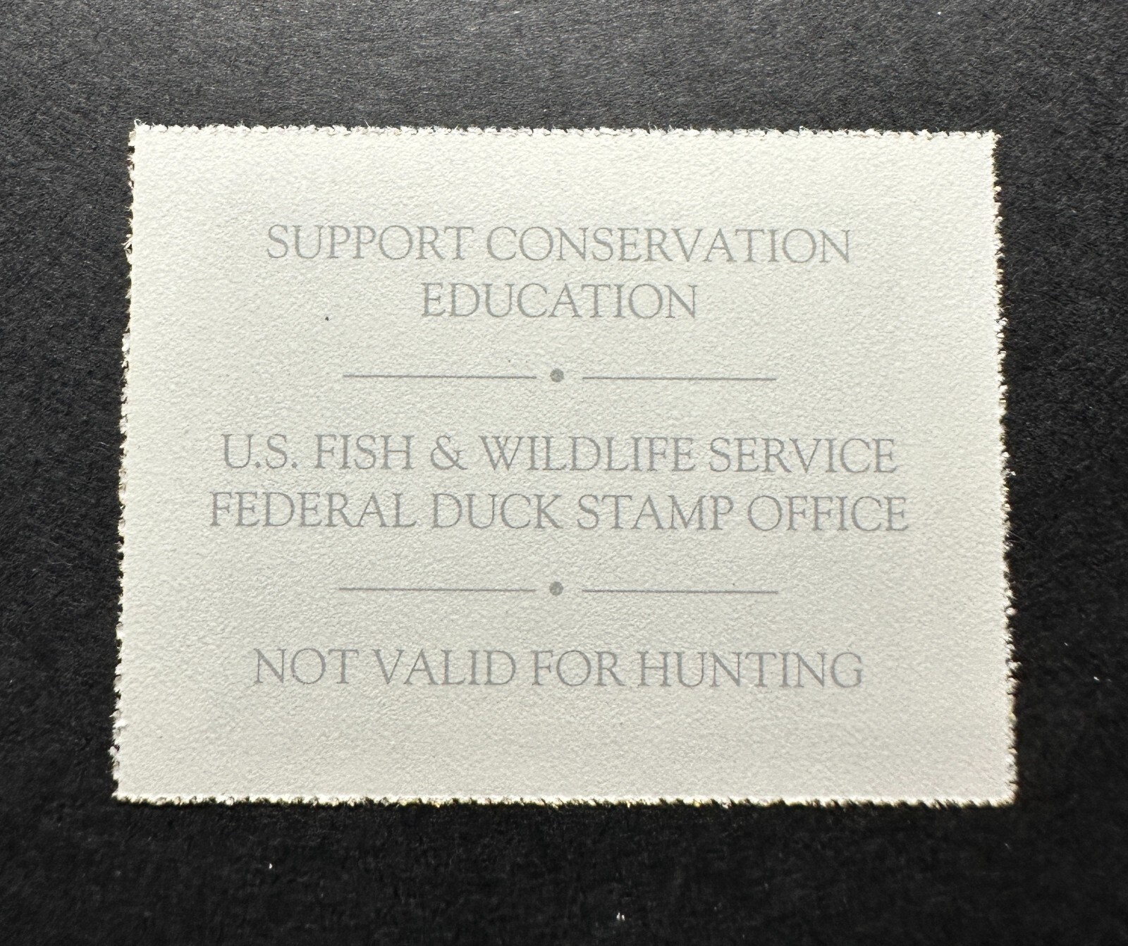 WTDstamps - #JDS8 2000 - Junior Duck Stamp - Mint OG NH - **Post Office FRESH**