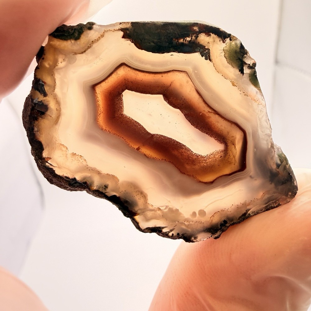 3pc Moroccan Agate Bundle 3.15oz Polished Fortification Moss Agate Slab Specimen