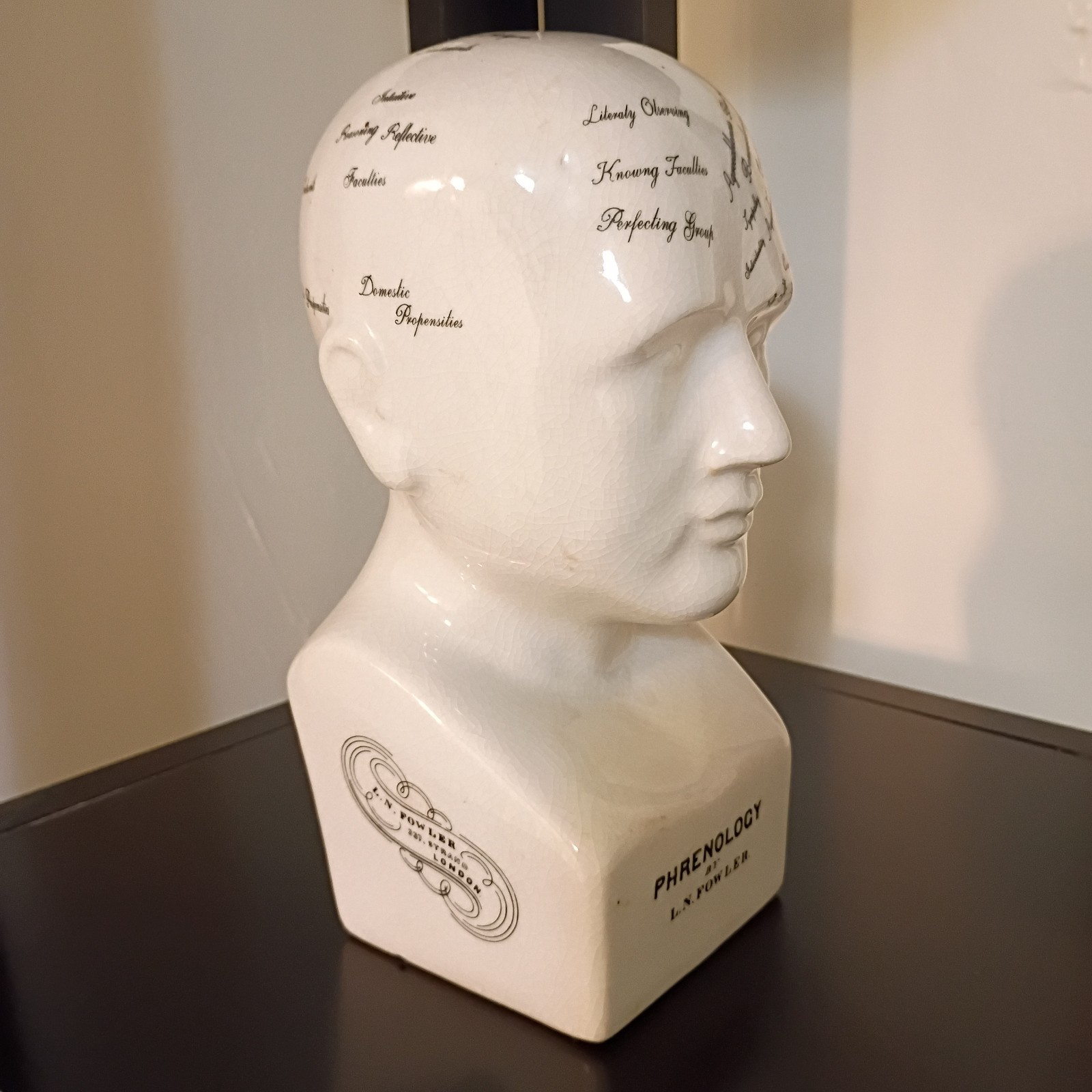 Porcelain L.N. Fowler Phrenology Scientific Psychology 8” Bust Head