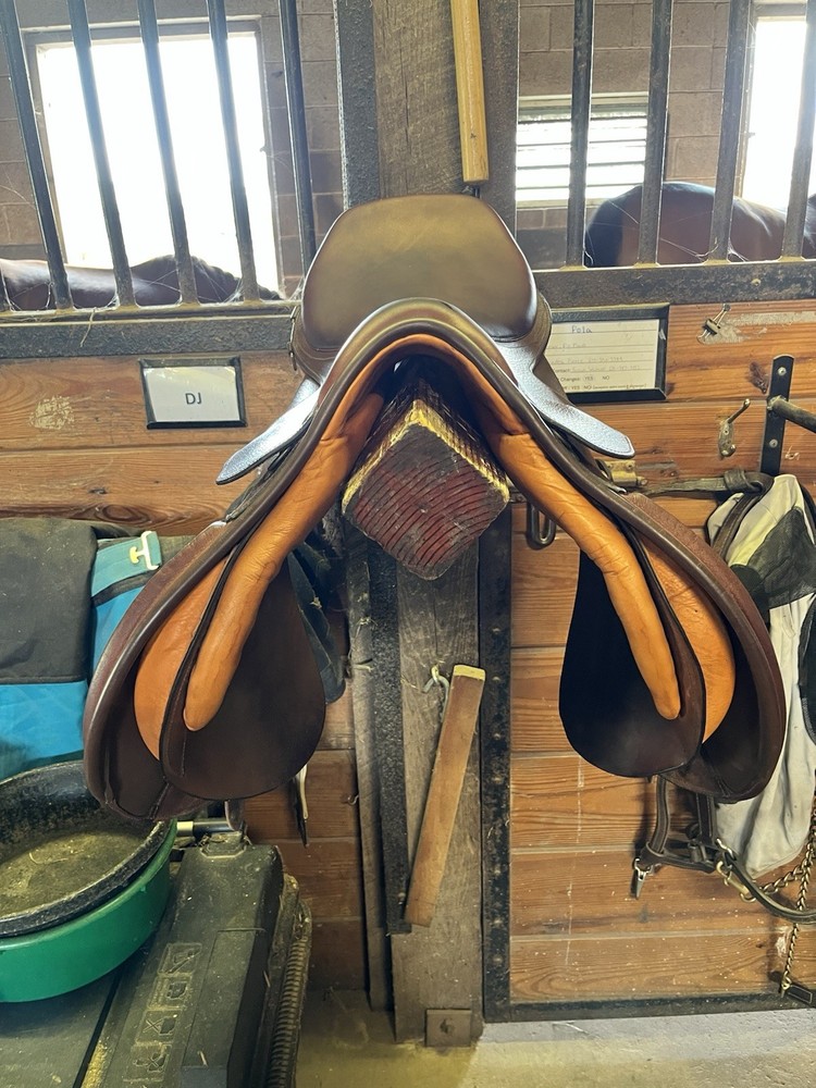 16.5 cambridge saddle medium gullet