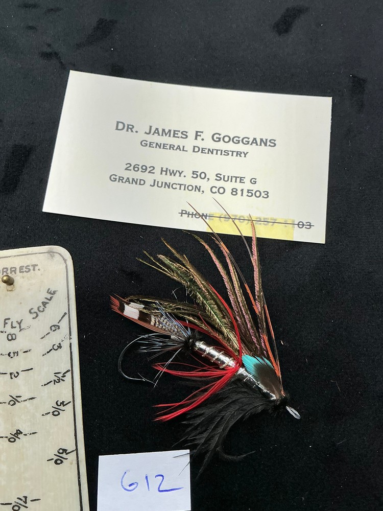 Dr. James Goggans Salmon Fly G12