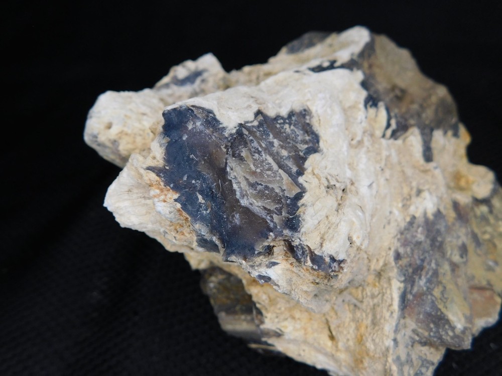 Limb Cast Petrified Wood Specimen Multiple Branches Opalized Agatized Vintage