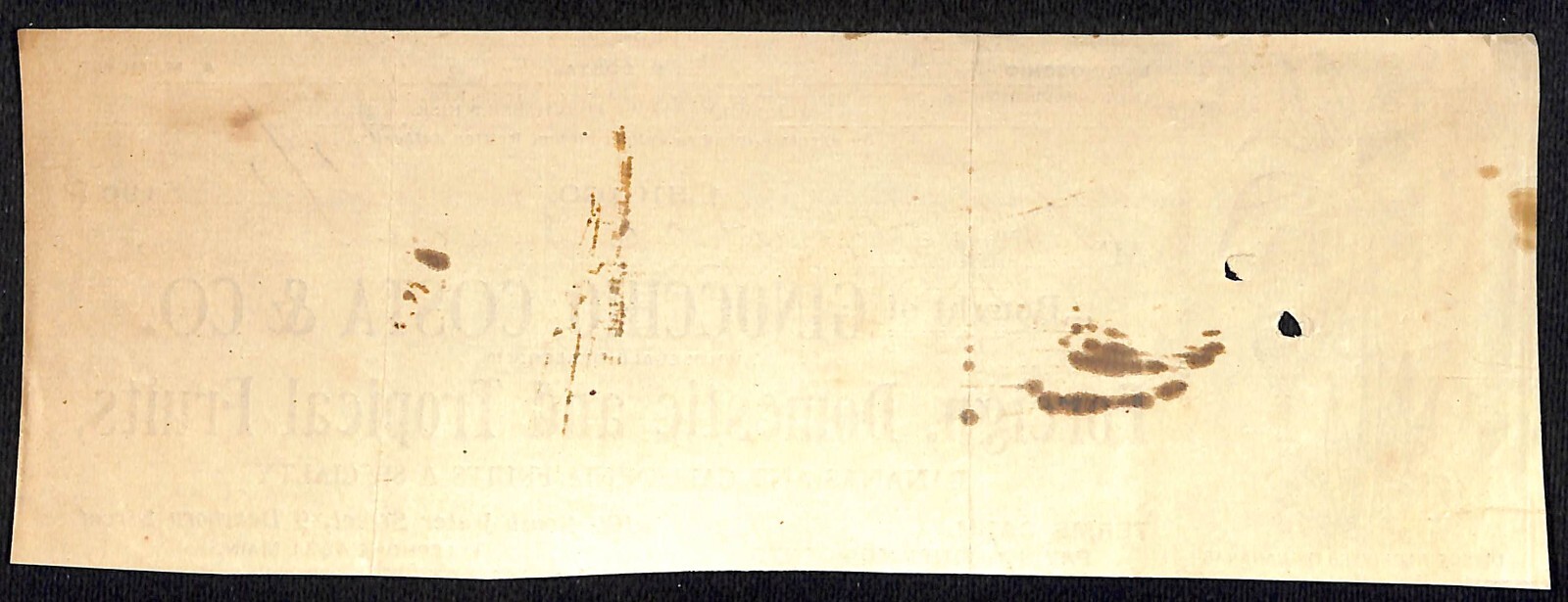 Ginocchio, Costa & Co. Bananas HJ Hutchinson Decorah IA* Cut 1903 Billhead