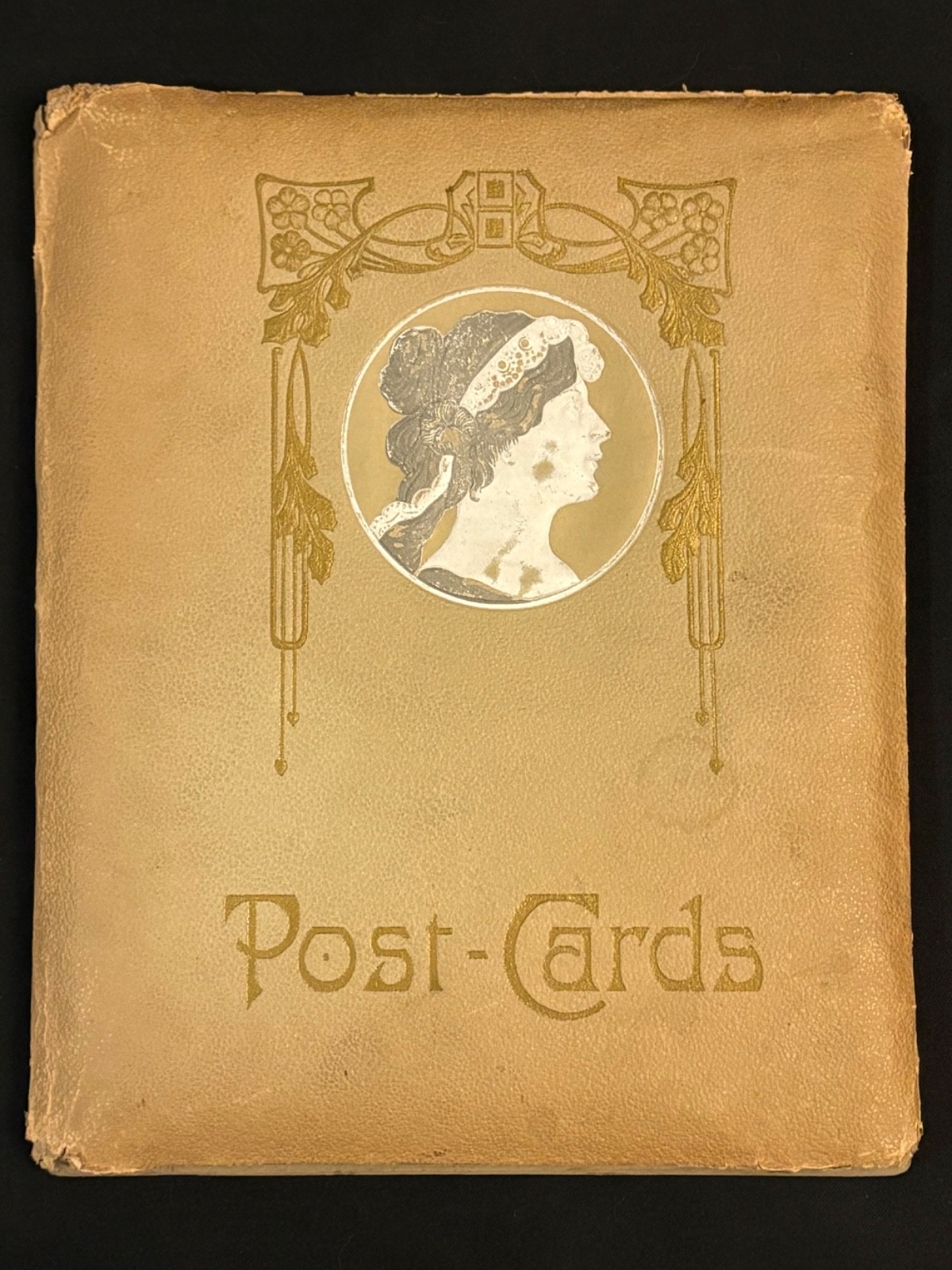 Post Cards Album Embossed Profile Art Nouveau Paper Slotted Pages Vintage Empty