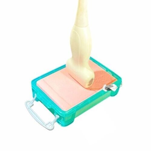 Internal Juglar ultrasound phantom -CVC (FLUID FREE)