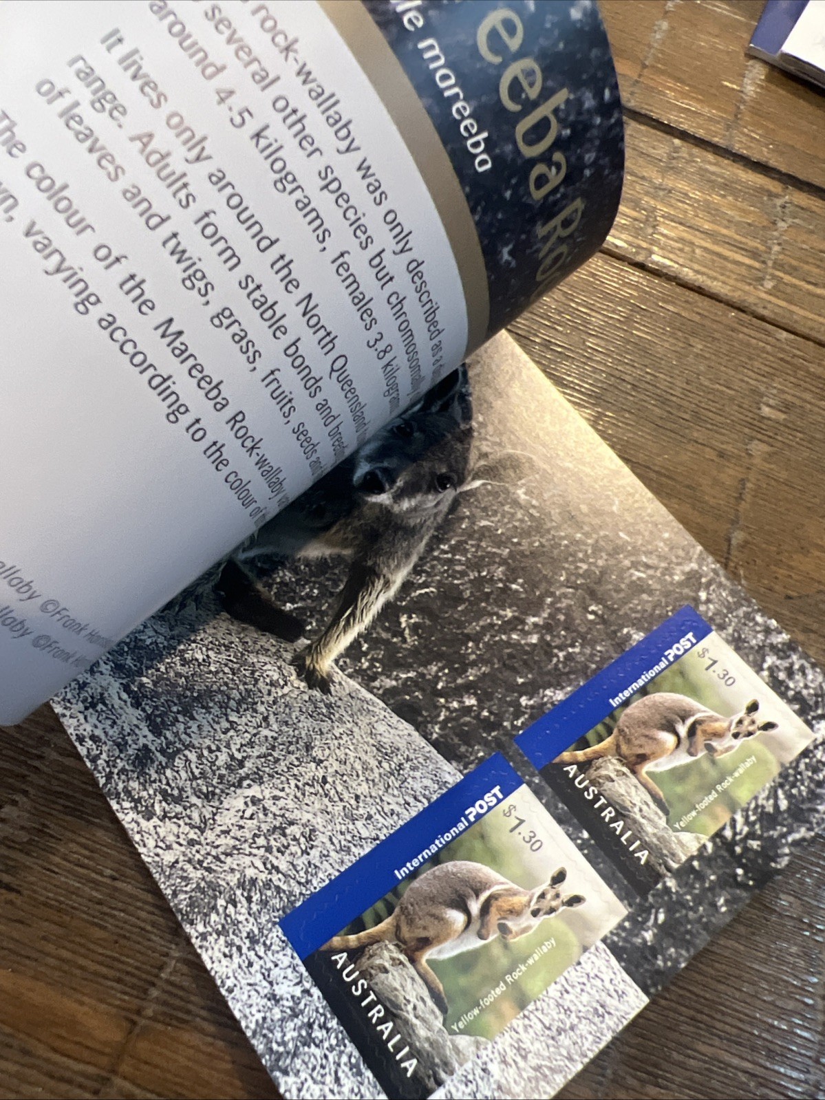 Lot Of 6: Australia Prestige: Dogs, Dangerous Aussies, Wallabies, Birds, Etc.