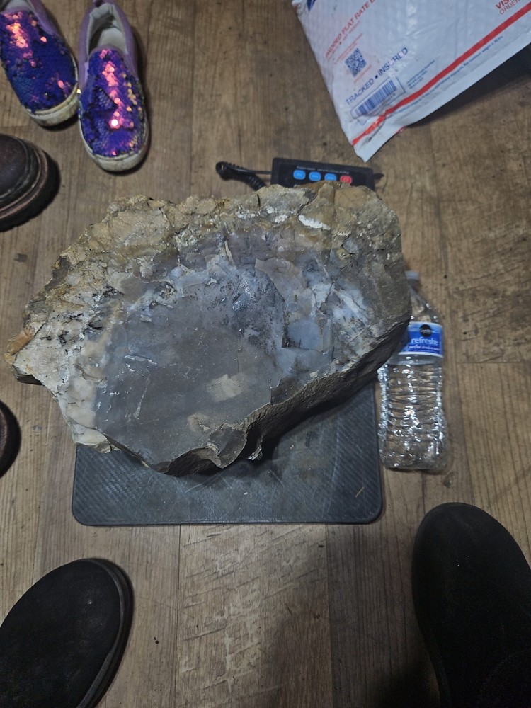 Petrified Palm Tree Root Specimen (36lbs 12oz)