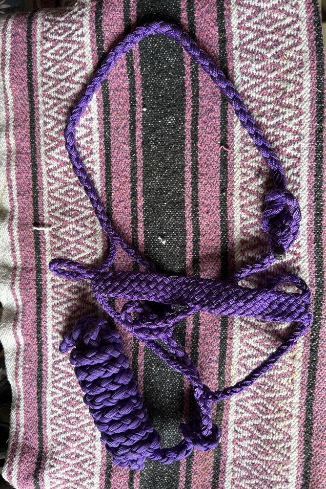 Purple Mule Tap Halter