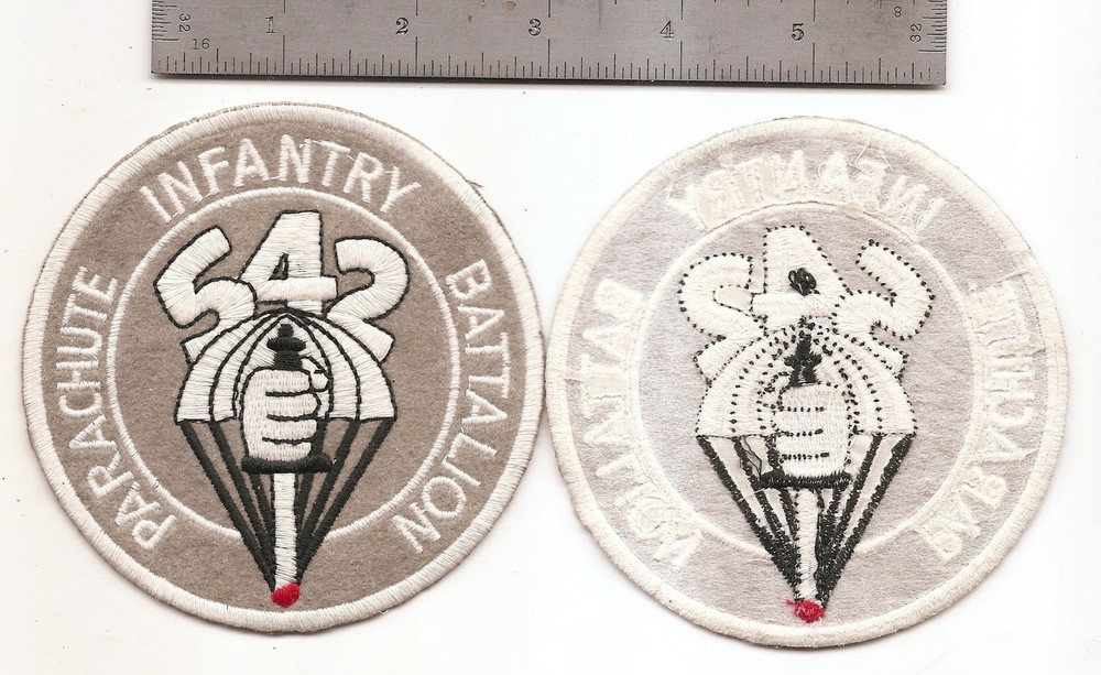 #072 US ARMY 542ND PARACHUTE INFANTRY BATTALION PATCH