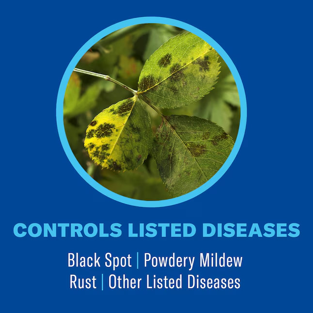 BioAdvanced 32 fl oz Insect Disease & Mite Control Trigger Spray for Plants