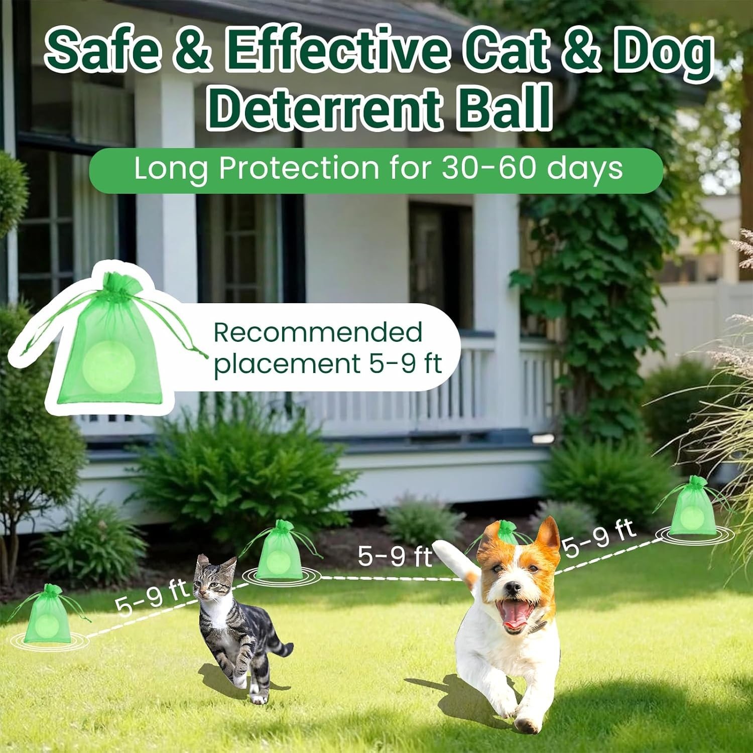 Cat Deterrent Outdoor, Natural Cat Deterrent Keep Cats Out of Yard Permanently,