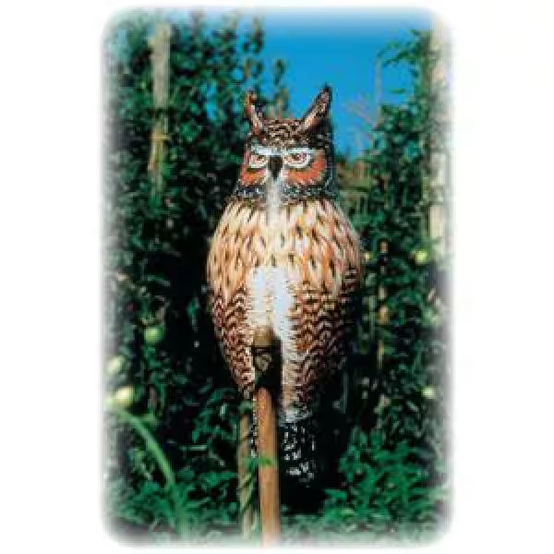 Natural Enemy Inflatable Owl