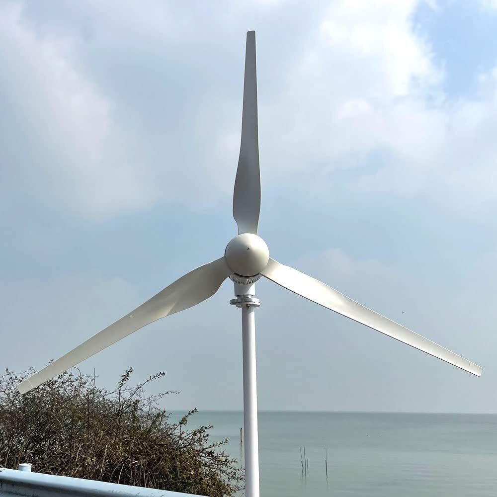 3000W Wind Turbine 24V 48V 3 Blades Windmill Wind Generator & MPPT Controller