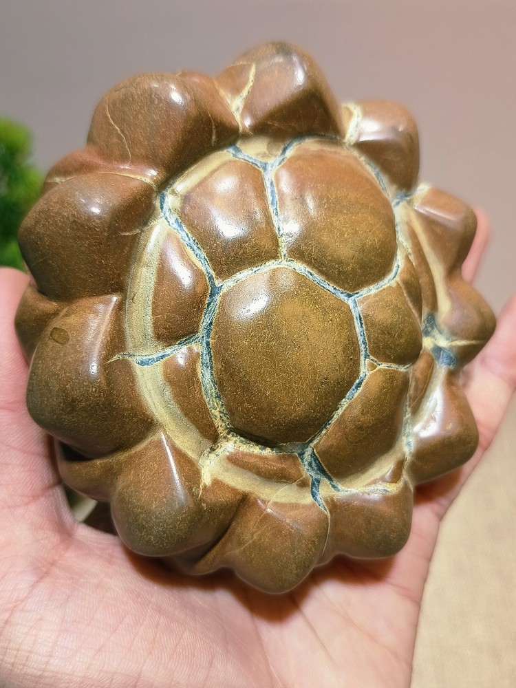 China Natural stone "tortoise back pattern" stone Moire stone 1031056