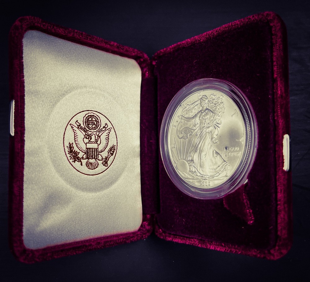 2009 $1 Silver Eagle Beautiful Toning with case🔥