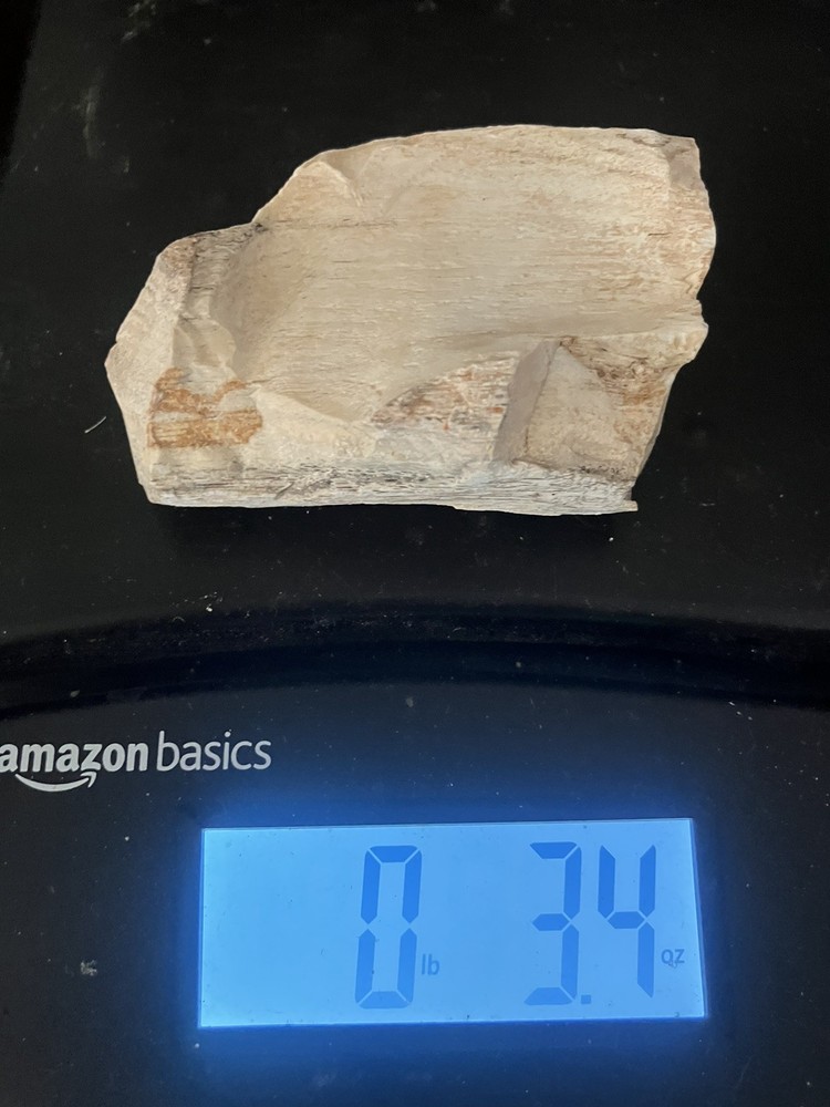 Opalized Petrified Wood