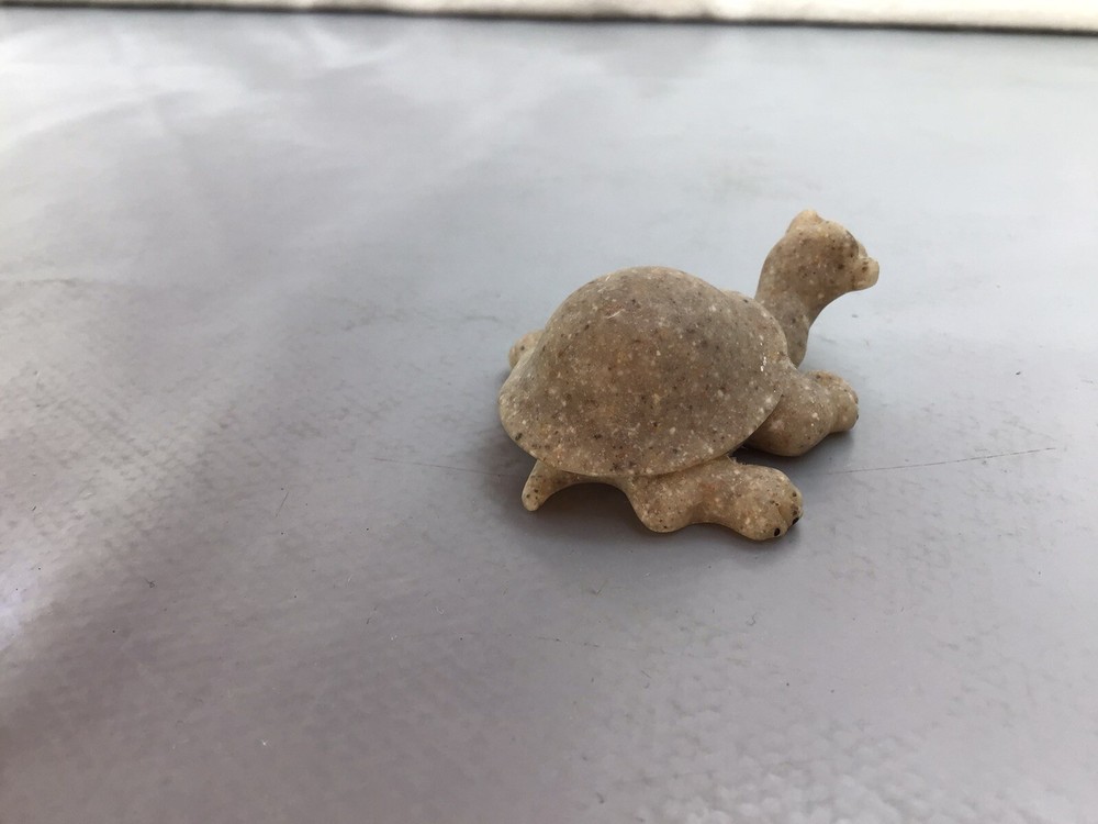 QUARRY CRITTERS TURTLE