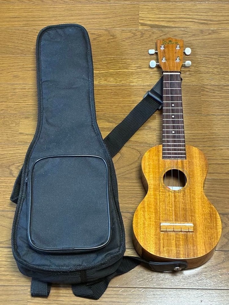 Famous FS-5G (good condition)