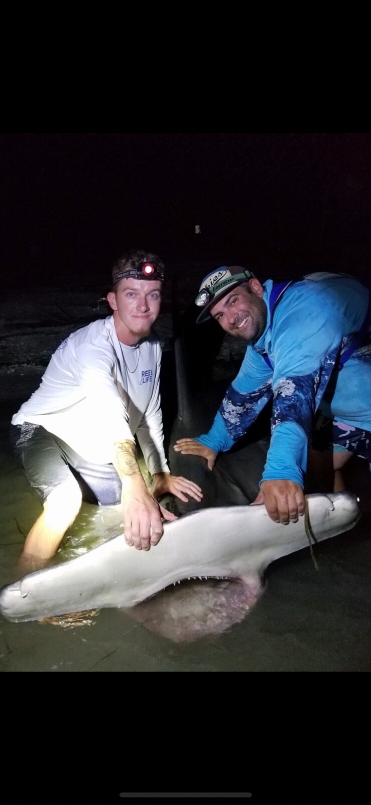 Shark fishing LEADER RIG 20/0 forged circle hook 20' 800lb mono 40” blue steel