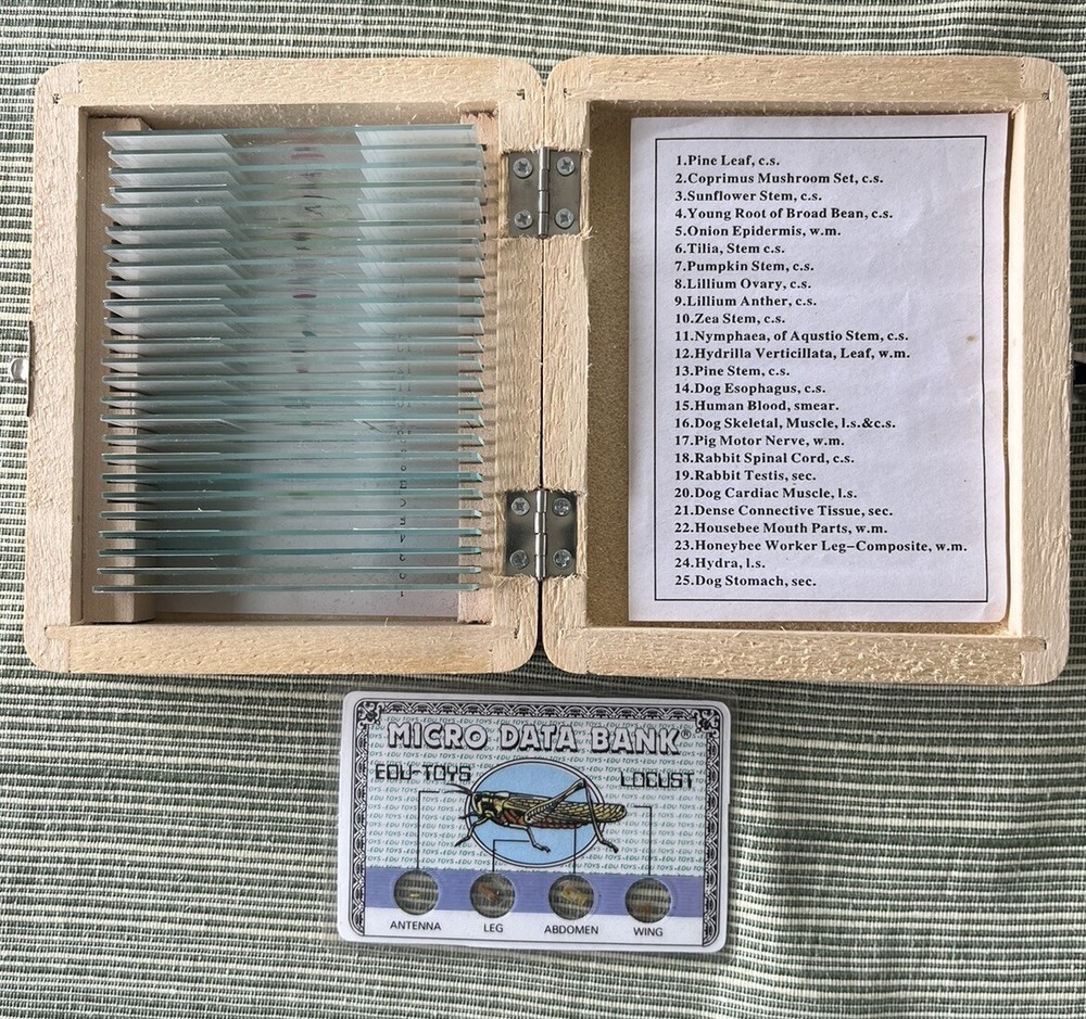AmScope 25 Prepared Microscope Slides Glass with Wooden Box EUC!
