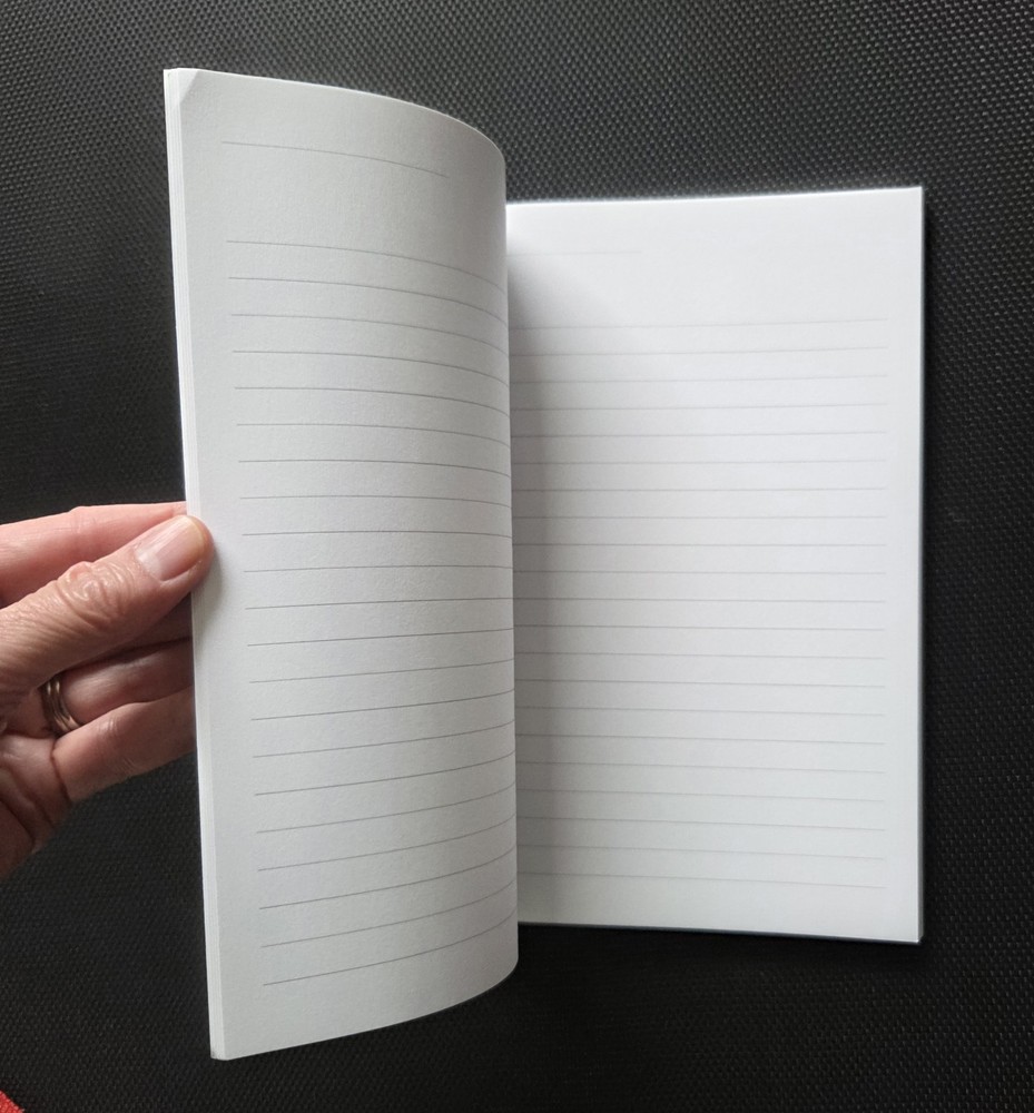 Brilliant Ideas I Had While Drinking Wine Notebook Journal Gift