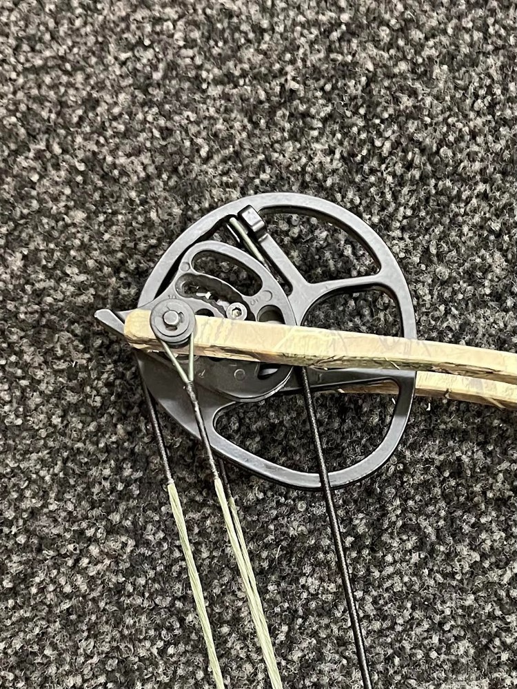 Hoyt Ruckus Bow
