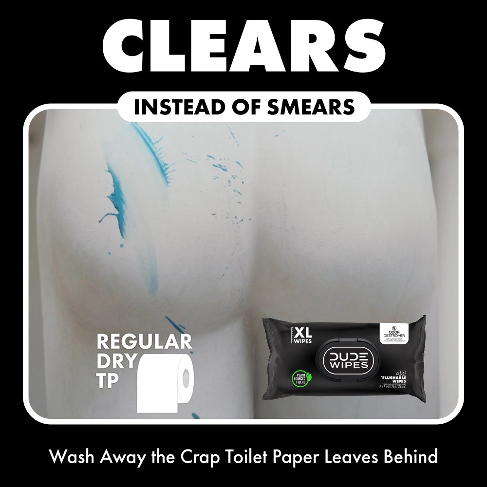 DUDE deodorizing wipes, flushable, XL extra-large wipes, 48 ​​wipes per pack