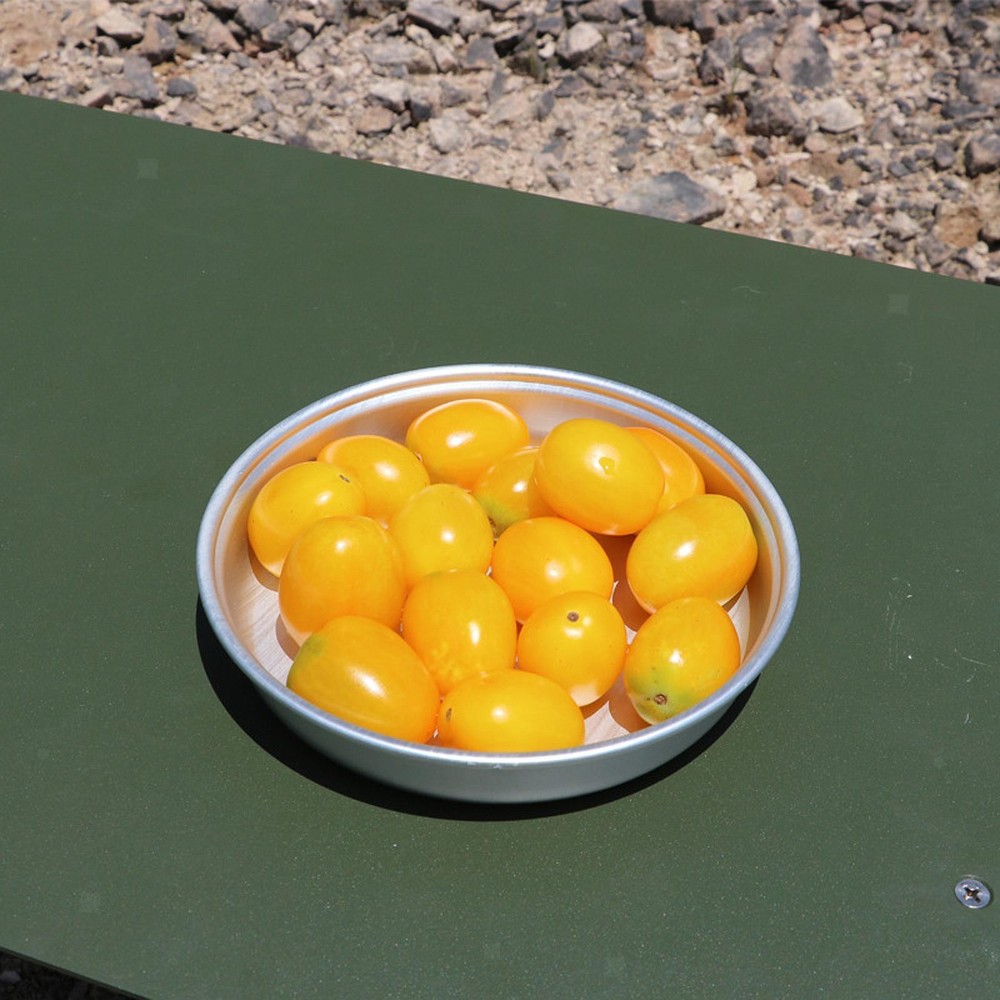 2Pcs Camping Plates Dinnerware Convenient Food Container Lightweight Dinner