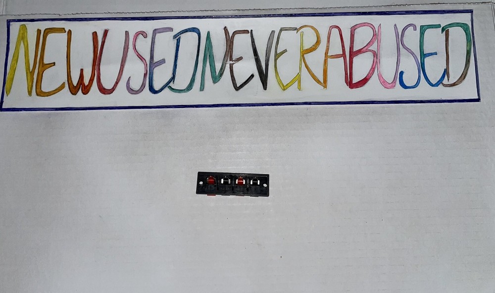 RED / BLACK SPRING LOADED SPEAKER TERMINAL NEW