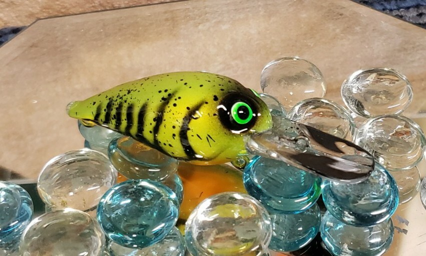 custom painted Wiggle wart crankbait (CRAW)