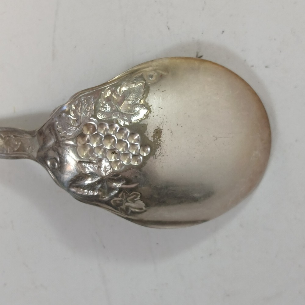 Isabella Grape 1913 R.C. Co. International Silverplate Sugar Spoon Vintage