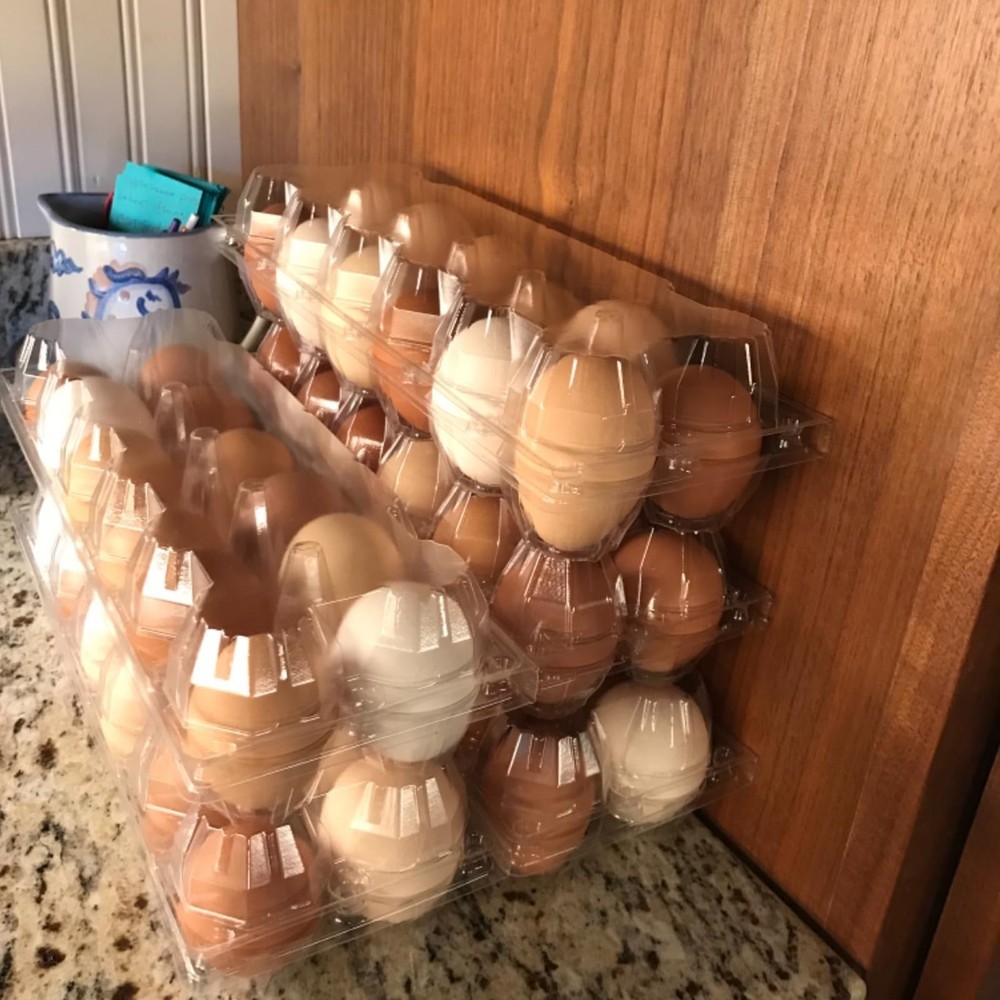50 Pack Plastic Egg Cartons Bulk, 12 Egg Reusable Egg Cartons, Empty 1 Dozen ...