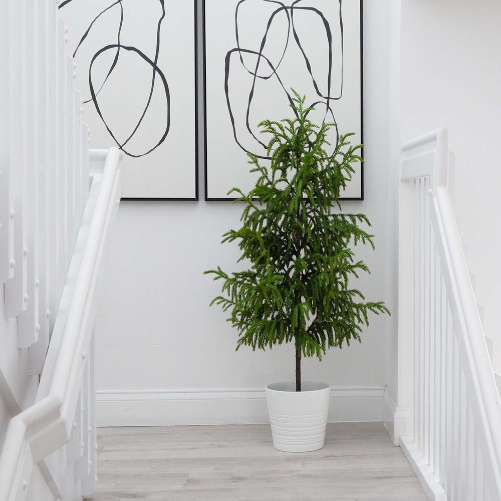 4Ft. Artificial Norfolk Pine Tree