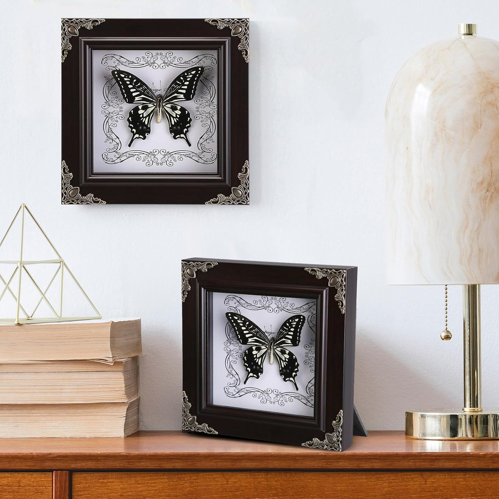 Real Butterfly Framed Handmade, Butterfly Display Shadow Box Collection, Framed
