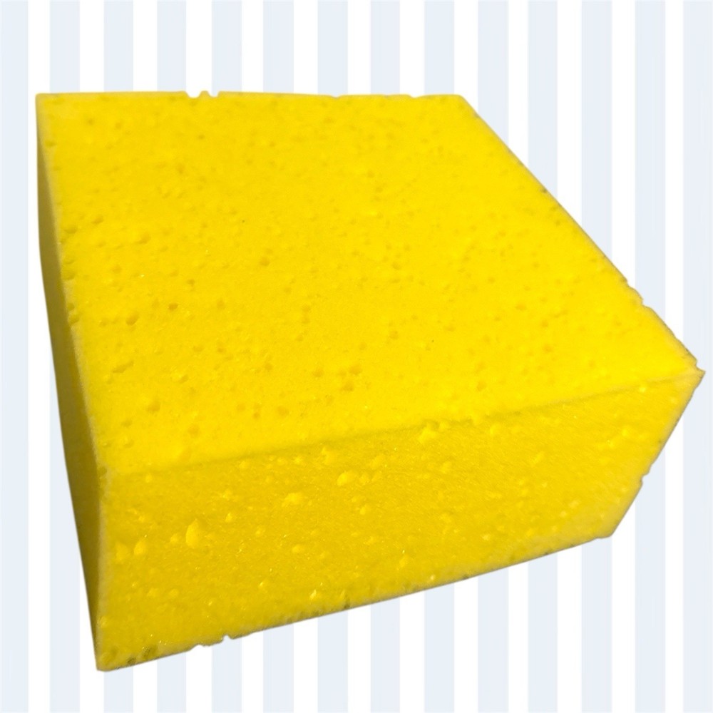Sponges