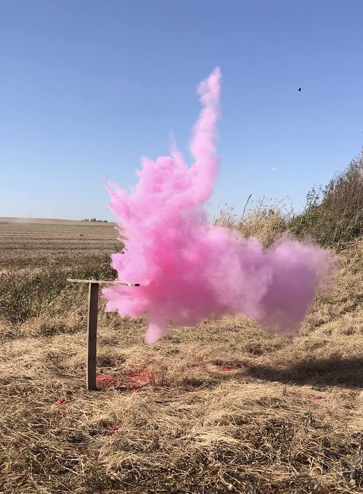 BlastCloud Gender Reveal Targets